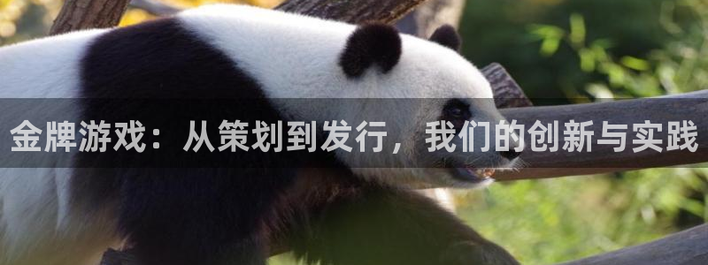 新宝GG电子科技怎么样：金牌游戏：从策划到发行，我们的创新与实践