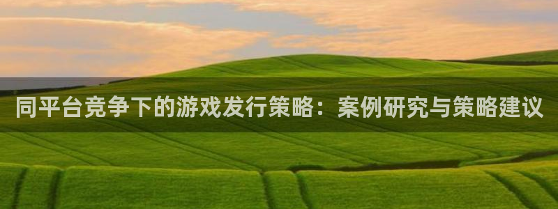 新宝GG官网注册登录失败：同平台竞争下的游戏发行策略：案例研究与策略建议