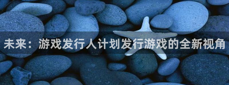 新宝GG官网登录注册：未来：游戏发行人计划发行游戏的全新视角