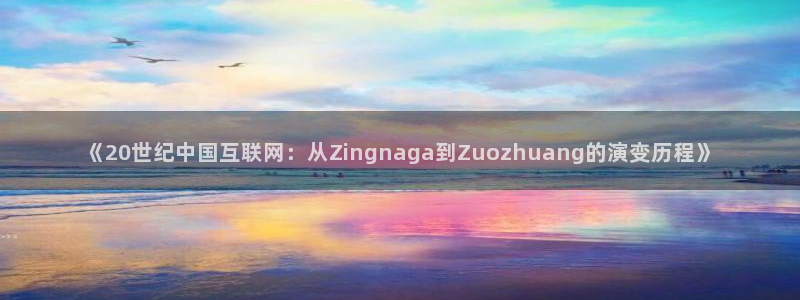 广州新宝GG网络科技有限公司：《20世纪中国互联网：从Zingnaga到Zuozhuang的演变历程》