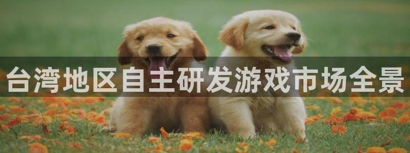 新宝GG官网登录注册账号失败：台湾地区自主研发游戏市场全景