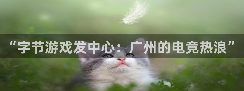 广州新宝GG网络科技有限公司招聘