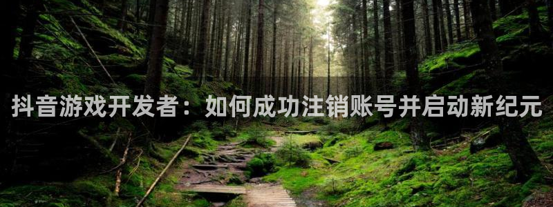 新宝GGlogo：抖音游戏开发者：如何成功注销账号并启动新纪元
