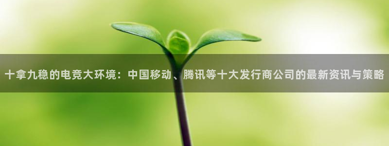 新宝GG集团有限公司：十拿九稳的电竞大环境：中国移动、腾讯等十大发行商公司的最新资讯与策略