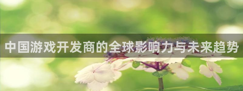 新宝GG电子商务：中国游戏开发商的全球影响力与未来趋势