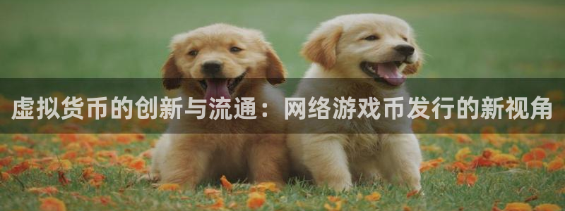 法国新宝GG官网：虚拟货币的创新与流通：网络游戏币发行的新视角
