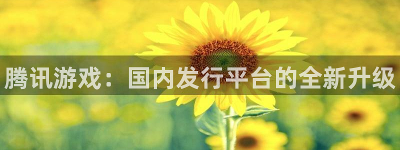 新宝GG怪兽：腾讯游戏：国内发行平台的全新升级