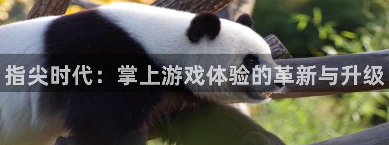 新宝GG官网登录注册账号密码：指尖时代：掌上游戏体验的革新与升级