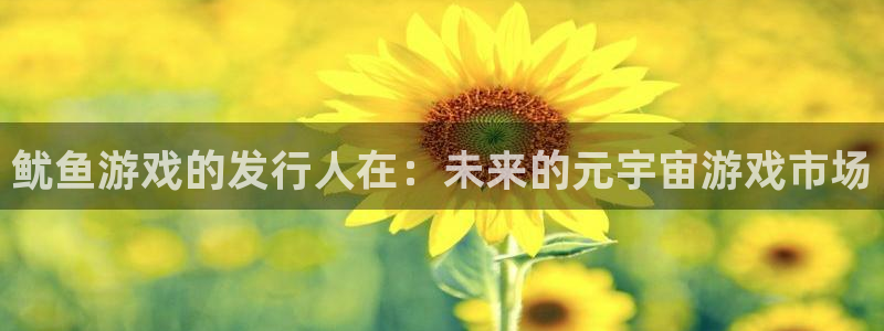 新宝GGgs：鱿鱼游戏的发行人在：未来的元宇宙游戏市场