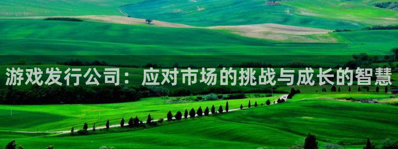 陕西新宝GG子文化创意有限公司是做什么的：游戏发行公司：应对市场的挑战与成长的智慧