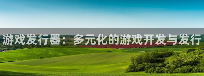 新宝GG官网注册方法是什么样的：游戏发行器：多元化的游戏开发与发行