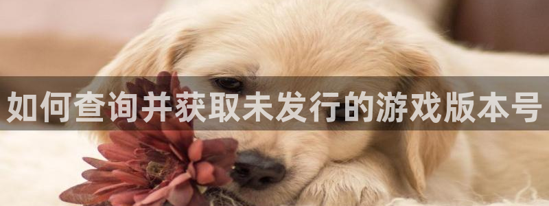 新宝GG酒庄