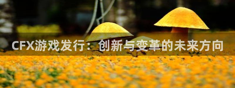 新宝GG电子商务有限公司怎么样