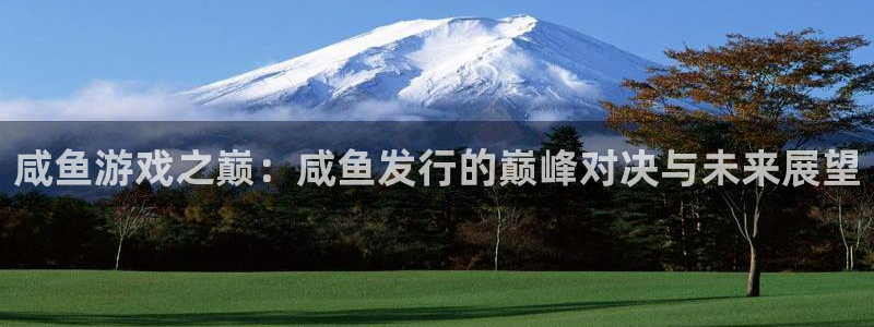 新宝GG电子科技怎么样