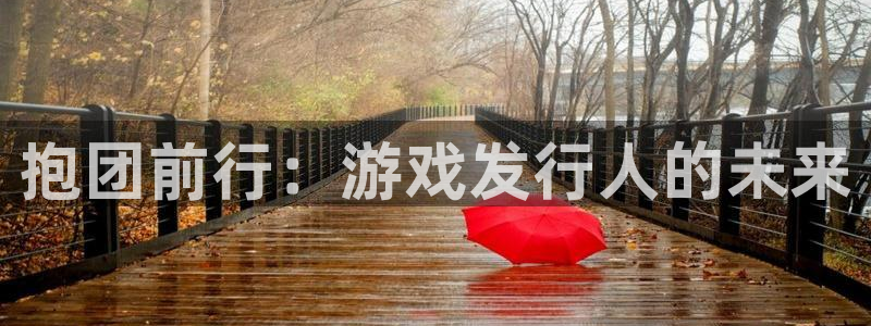 新宝GG官网主营业务：抱团前行：游戏发行人的未来