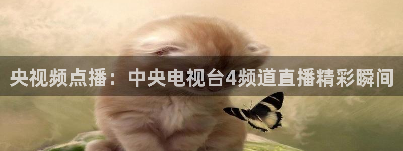 绿茵直播足球比赛在线观看