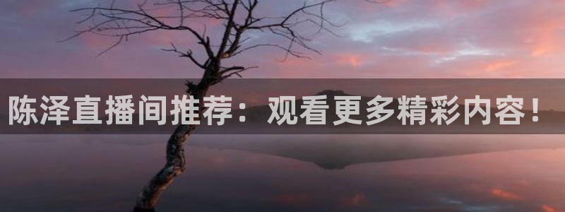 绿茵nba直播：陈泽直播间推荐：观看更多精彩内容！