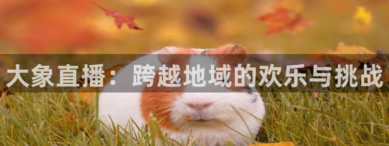 绿茵直播下载：大象直播：跨越地域的欢乐与挑战