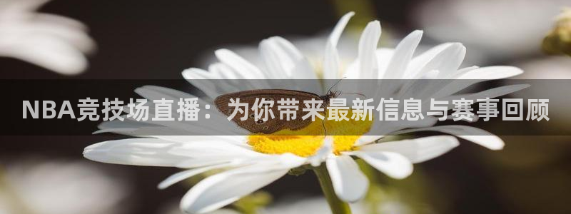 绿茵篮球直播在线观看