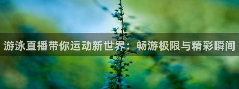 绿茵体育