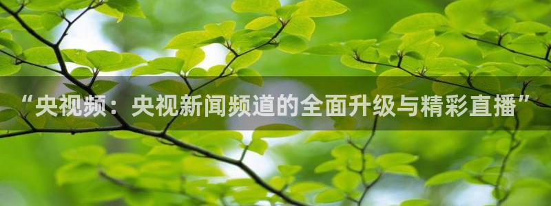 绿茵足球免费直播