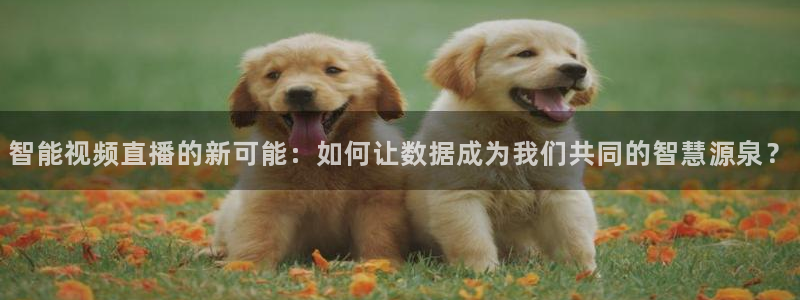 绿茵直播体育：智能视频直播的新可能：如何让数据成为我们共同的智慧源泉？
