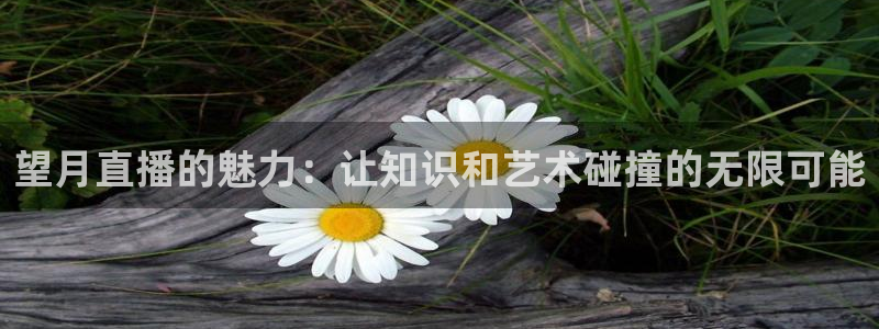绿茵直播体育下载：望月直播的魅力：让知识和艺术碰撞的无限可能