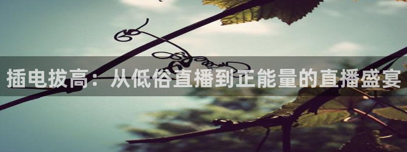 绿茵直播体育在线观看免费下载：插电拔高：从低俗直播到正能量的直播盛宴