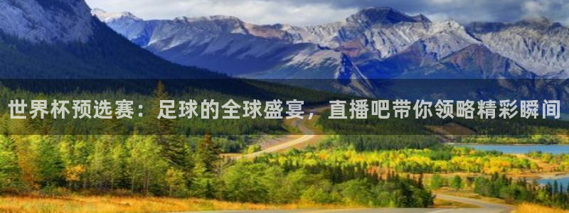 绿茵体育在线直播：世界杯预选赛：足球的全球盛宴，直播吧带你领略精彩瞬间