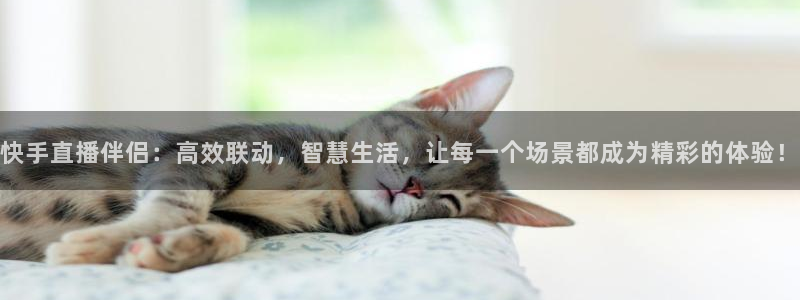 绿茵直播体育nba：快手直播伴侣：高效联动，智慧生活，让每一个场景都成为精彩的体验！