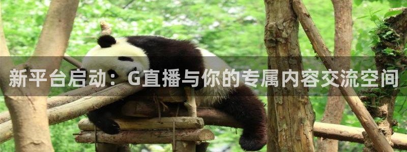 绿茵足球：新平台启动：G直播与你的专属内容交流空间