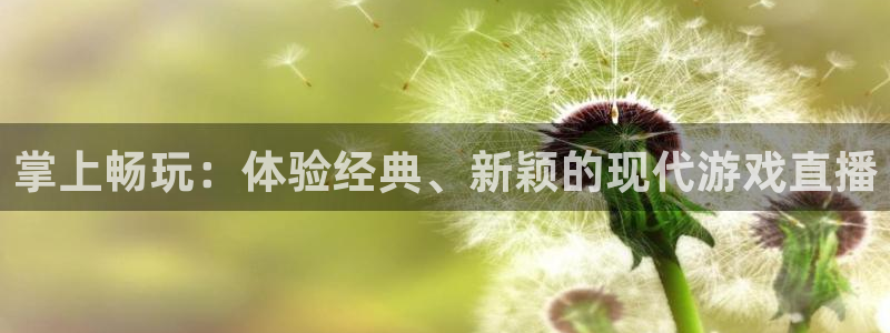 绿茵直播免费看球直播：掌上畅玩：体验经典、新颖的现代游戏直播