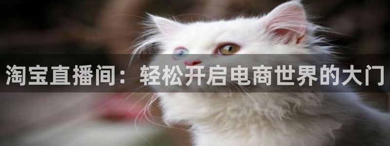 足球直播绿茵体育：淘宝直播间：轻松开启电商世界的大门