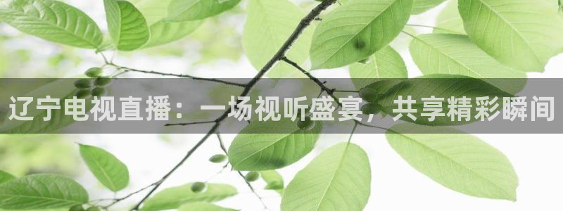 绿茵体育live直播：辽宁电视直播：一场视听盛宴，共享精彩瞬间