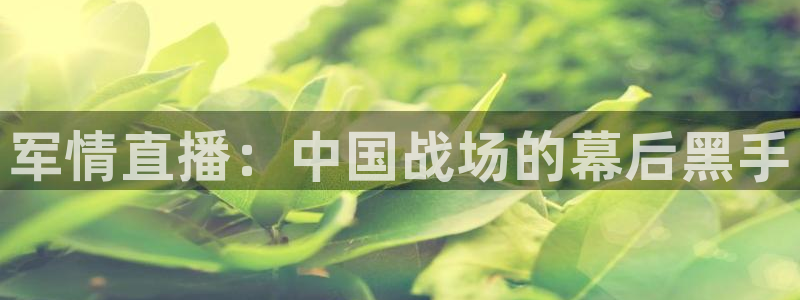 绿茵直播体育：军情直播：中国战场的幕后黑手
